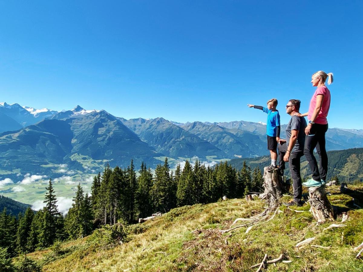Alpen Chalets Zell Am See Niedernsill Dış mekan fotoğraf